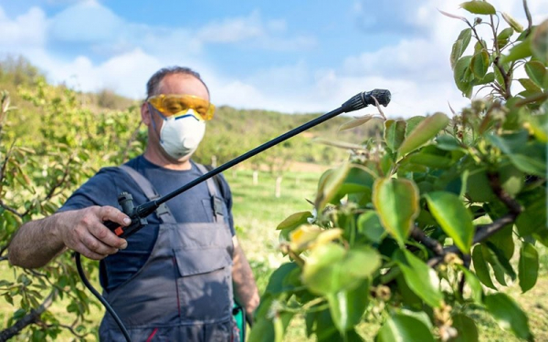 Инструкция фунгицида Кумулус для борьбы с грибковыми болезнями сада и виноградника